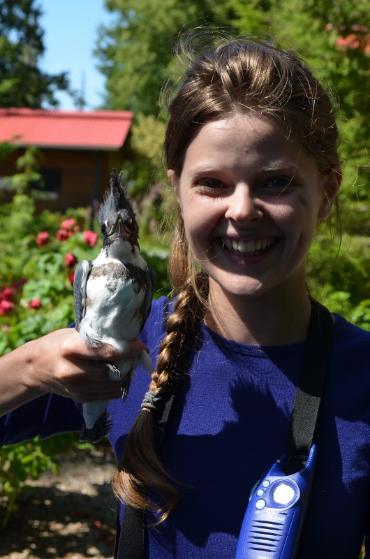 Elsie and her Belted Kingfisher